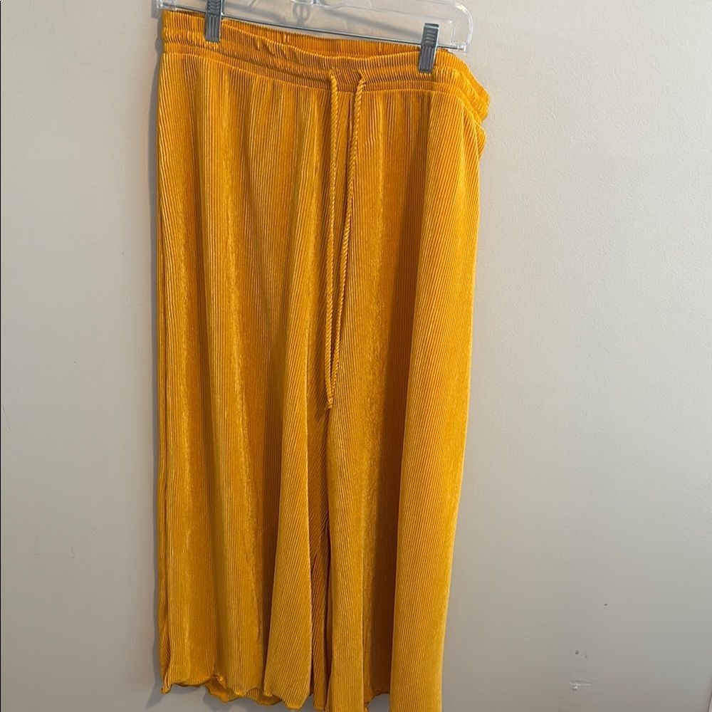 The zig zag stripe size 2xl Vibrant Yellow Pleated Pants